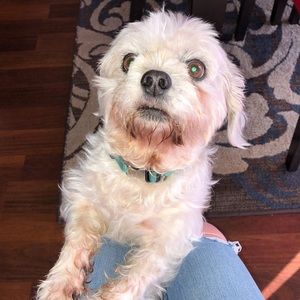 Meet your Posher, Jada